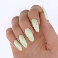 ivi-kiwi-2