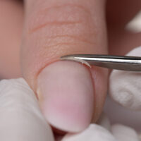 škarje_velike_hood_tip_blade_2