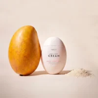 mango_sticky_rice_01